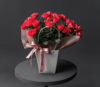9 кустовых роз в сумочке